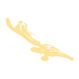 Adriatic Sea (Croatia)