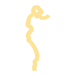 Arauco Province Coast