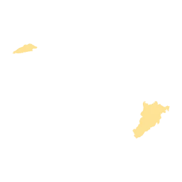 Restoring tiger and prey populations in northern Myanmar through protection and enhancing livelihoods of local communities in the Myanmar-India Transboundary Tiger Conservation Landscape